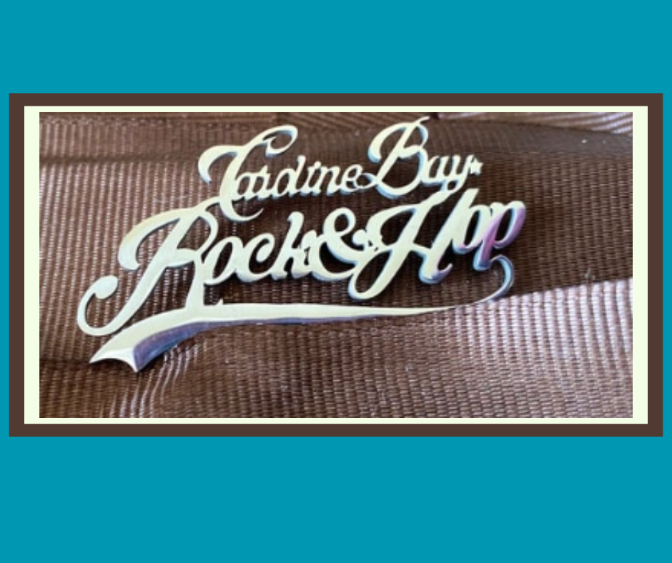 Caroline Bay Rock and Hop Pin